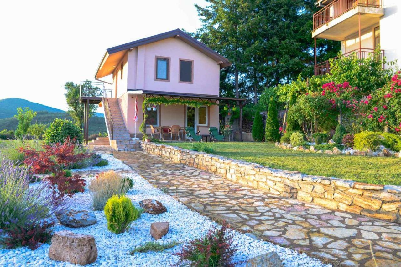 Villa Silva أوهغيد المظهر الخارجي الصورة