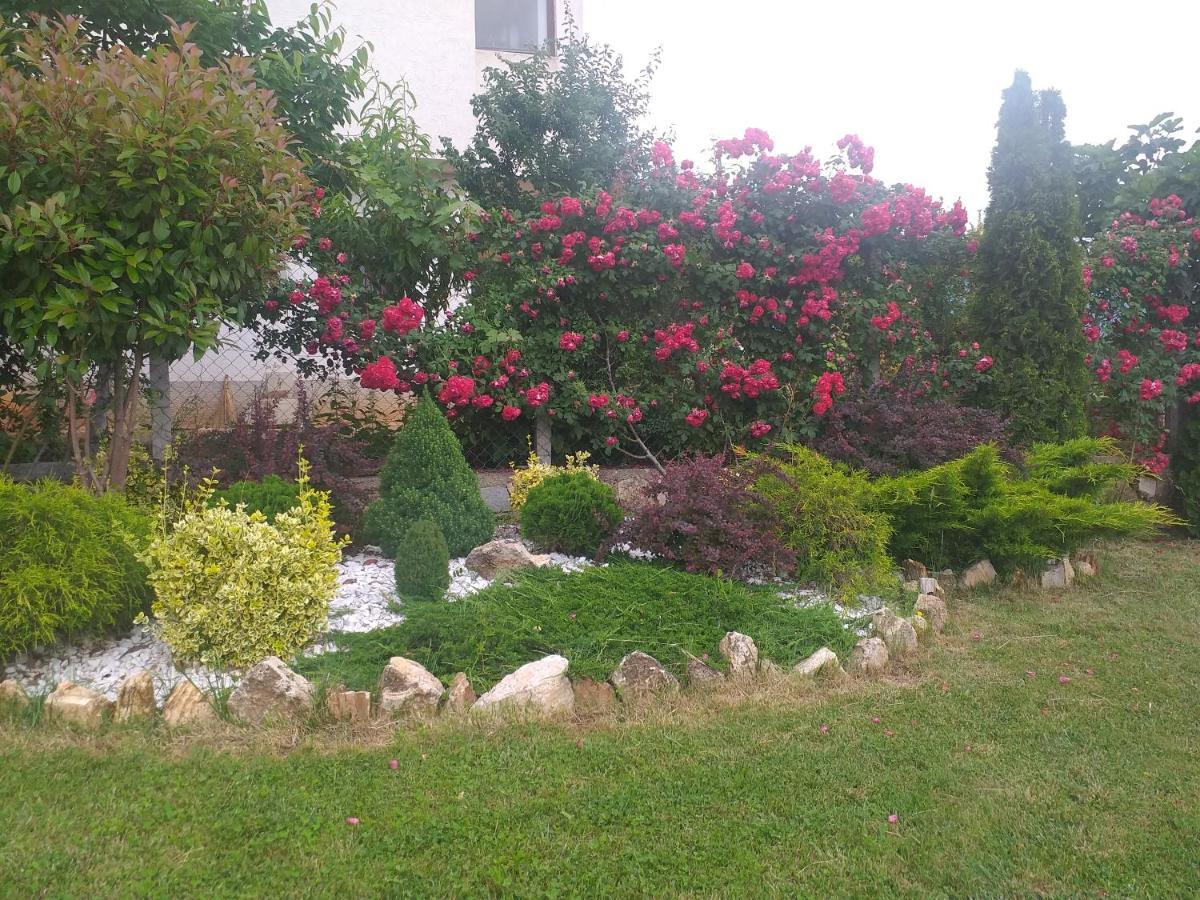 Villa Silva أوهغيد المظهر الخارجي الصورة