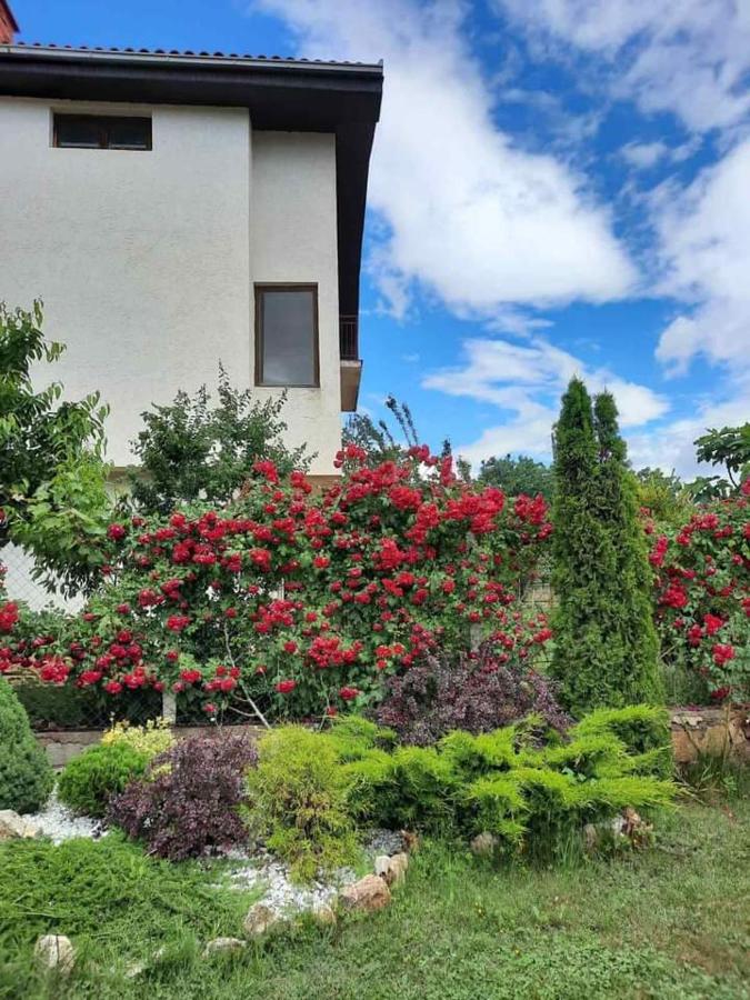 Villa Silva أوهغيد المظهر الخارجي الصورة