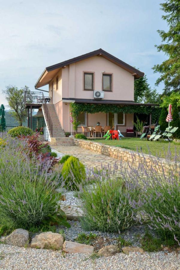Villa Silva أوهغيد المظهر الخارجي الصورة